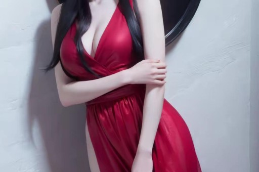 侵权风险